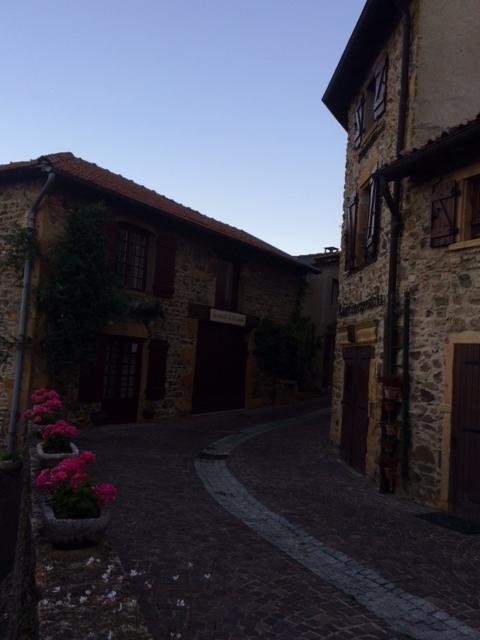 La Dame De Messignac Villa Ternand Buitenkant foto